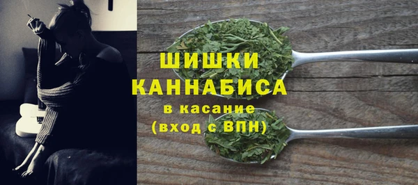 прущая мука Дмитриев