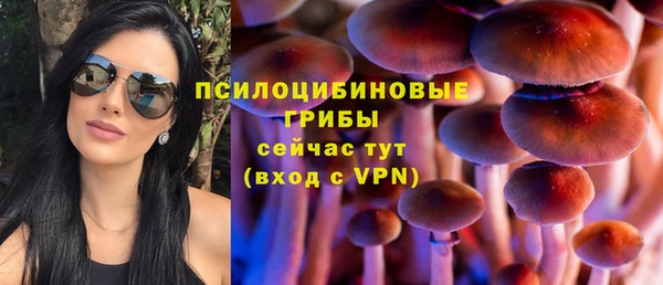 соль курить ск Ельня